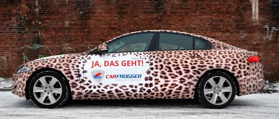 Interim Geschäftsführer-Team für den Aufbau des Start-ups Carfrogger